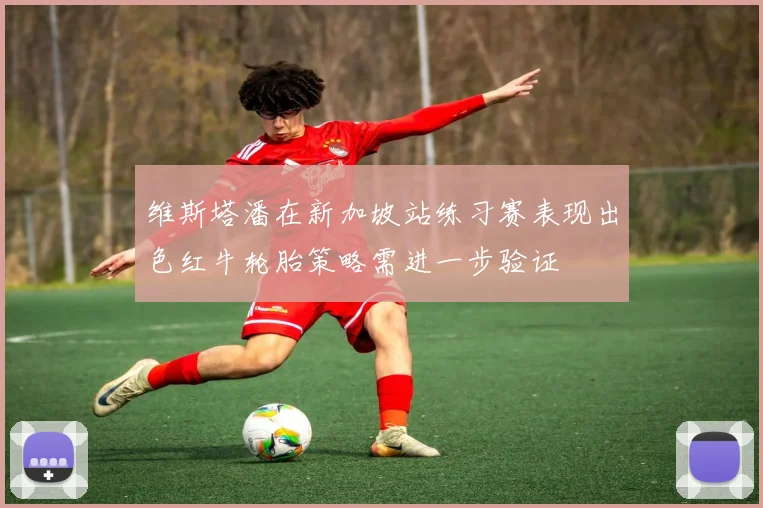 维斯塔潘在新加坡站练习赛表现出色红牛轮胎策略需进一步验证